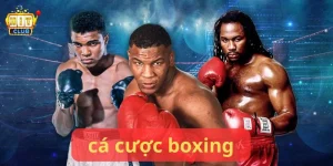 Cá cược boxing